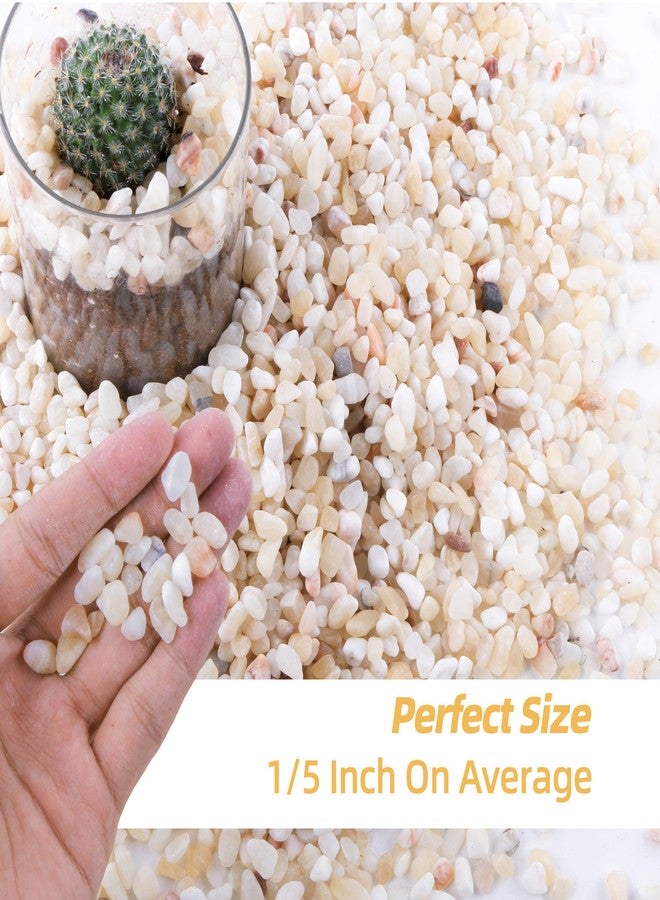 CJGQ 7lb Aquarium Gravel for Plants, 1/5Inch Outdoor Decorative River Rocks for Succulents and Cactus Landscaping, Garden Plant Rocks Natural Small Rocks Pea Gravel for Fish Tank Vases Terrarium - Image 2